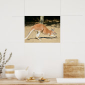 Rode kangoeroe op de zandvakantie poster (Keuken)