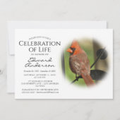 Rode kardinaal | Begrafenis | Viering van het leve Kaart (Voorkant)