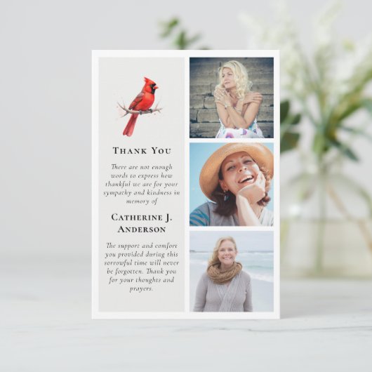 Rode Kardinaal Bird 3 Foto Sympathy Begrafenis Bedankkaart (Staand voorkant)