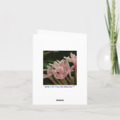 Rode Kardinaal Bird Dank je wel Opmerking Kaart (Achterkant)