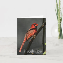 Rode Kardinaal Bird Dank je wel Opmerking Kaart