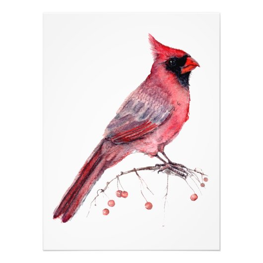 Rode kardinaal Bird Foto Afdruk (Voorkant)