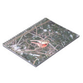 Rode kardinaal Bird Notitieboek (Linkerzijde)