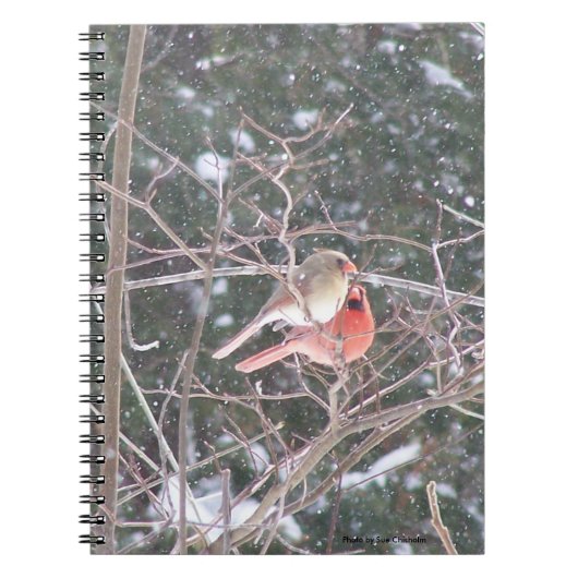Rode kardinaal Bird Notitieboek (Voorkant)