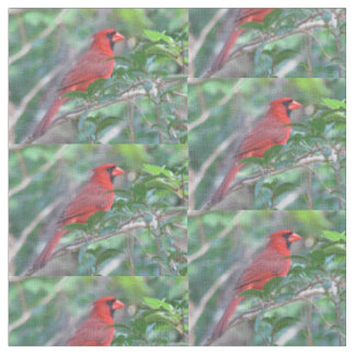 Rode kardinaal Bird Stof