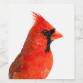 Rode kardinaal Bird Wijn Etiket (Enkel label)