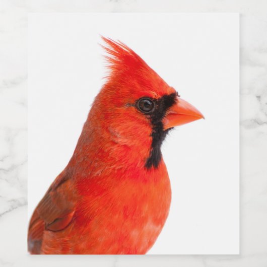 Rode kardinaal Bird Wijn Etiket (Enkel label)