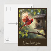 "RODE KARDINAAL" BRIEFKAART (Voorkant / Achterkant)