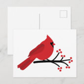 Rode kardinaal briefkaart (Voorkant / Achterkant)