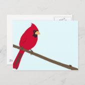 Rode kardinaal briefkaart (Voorkant / Achterkant)