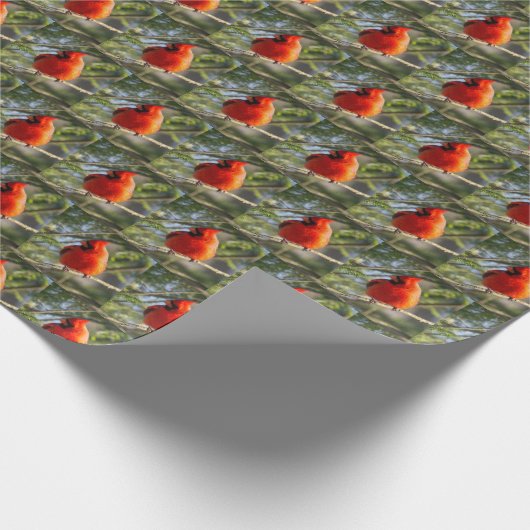 Rode kardinaal cadeaupapier (Hoek)