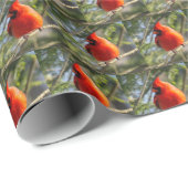 Rode kardinaal cadeaupapier (Rol Hoek)