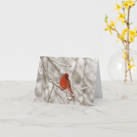 Rode Kardinaal (de Kaarten van de Nota) (Gele Bloem)