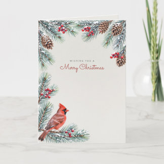 Rode Kardinaal Dennen Traditionele Kerstkaart Kaart