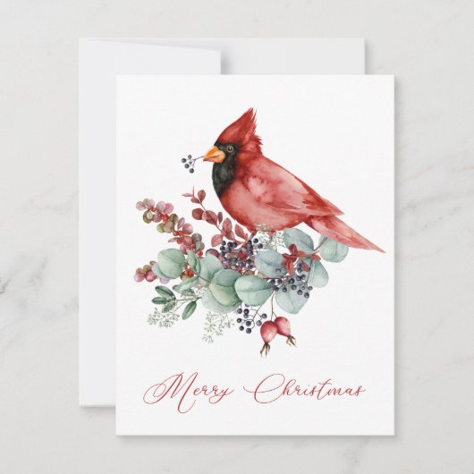 Rode kardinaal, Eucalyptus, Greenery Kerstmis (Voorkant)