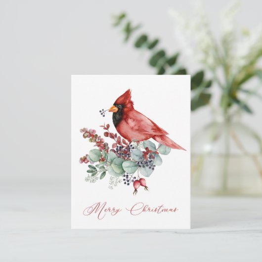 Rode kardinaal, Eucalyptus, Greenery Kerstmis (Staand voorkant)