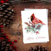 Rode kardinaal, Eucalyptus, Greenery Kerstmis