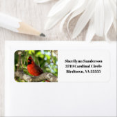 Rode Kardinaal in Boom Etiket (Insitu)