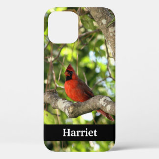 Rode Kardinaal in Boom Persoonlijk Case-Mate iPhone Case