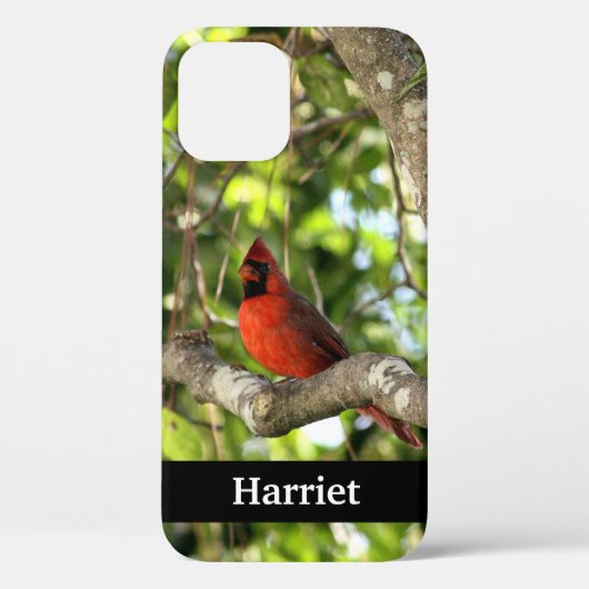 Rode Kardinaal in Boom Persoonlijk Case-Mate iPhone Case (Achterkant)
