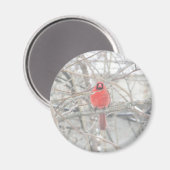  rode kardinaal in de boommagneet magneet (Voorkant / Achterkant)