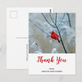 Rode kardinaal in de Natuur van de winter Foto: Da Briefkaart (Voorkant / Achterkant)