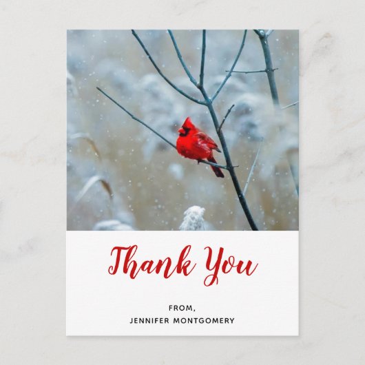 Rode kardinaal in de Natuur van de winter Foto: Da Briefkaart (Voorkant)