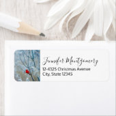 Rode kardinaal in de Natuur van de winter: Kerstmi Etiket (Insitu)