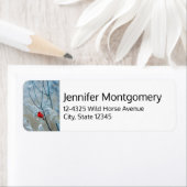 Rode kardinaal in de Natuur van de winter: Kerstmi Etiket (Insitu)