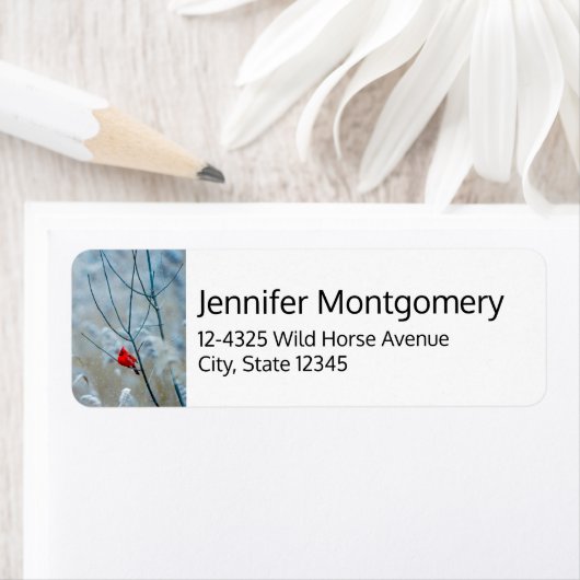 Rode kardinaal in de Natuur van de winter: Kerstmi Etiket (Insitu)