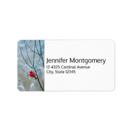 Rode kardinaal in de Natuur van de winter: Kerstmi Etiket