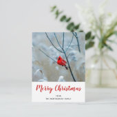 Rode kardinaal in de Natuur van de winter: Kerstmi Feestdagenkaart (Staand voorkant)