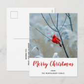 Rode kardinaal in de Natuur van de winter: Kerstmi Feestdagenkaart (Voorkant / Achterkant)