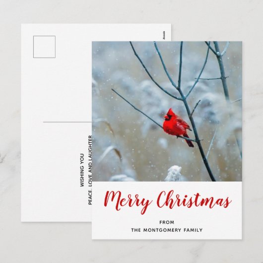Rode kardinaal in de Natuur van de winter: Kerstmi Feestdagenkaart (Voorkant / Achterkant)