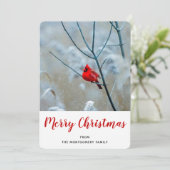 Rode kardinaal in de Natuur van de winter: Kerstmi Feestdagenkaart (Staand voorkant)