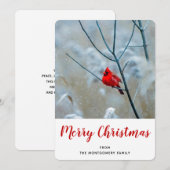 Rode kardinaal in de Natuur van de winter: Kerstmi Feestdagenkaart (Voorkant / Achterkant)