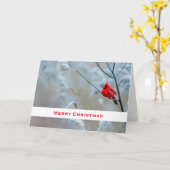 Rode kardinaal in de Natuur van de winter: Kerstmi Kaart (Gele Bloem)