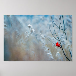 Rode kardinaal in de Natuur van de winter: Kerstmi Poster
