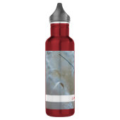 Rode kardinaal in de Natuur van de winter: Kerstmi Waterfles (Links)