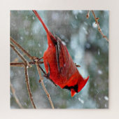 Rode kardinaal in de sneeuw legpuzzel (Horizontaal)