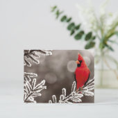 Rode kardinaal in de winter briefkaart (Staand voorkant)