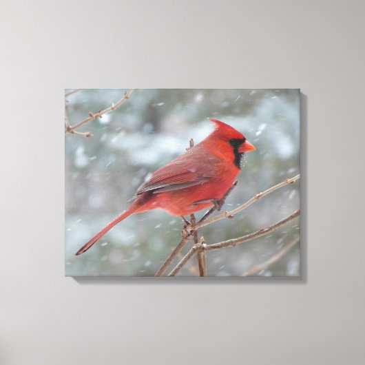 Rode kardinaal in de winter canvas afdruk (Voorkant)