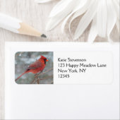 Rode kardinaal in de winter etiket (Insitu)