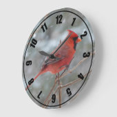 Rode kardinaal in de winter grote klok (Hoek)