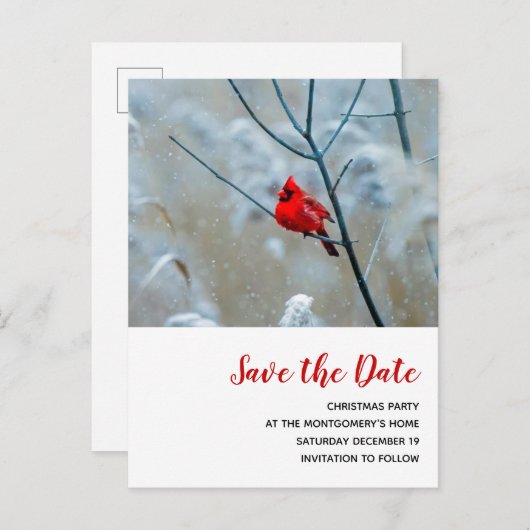 Rode Kardinaal in de Winter Kerstmis Save the Date Uitnodiging Briefkaart (Voorkant / Achterkant)