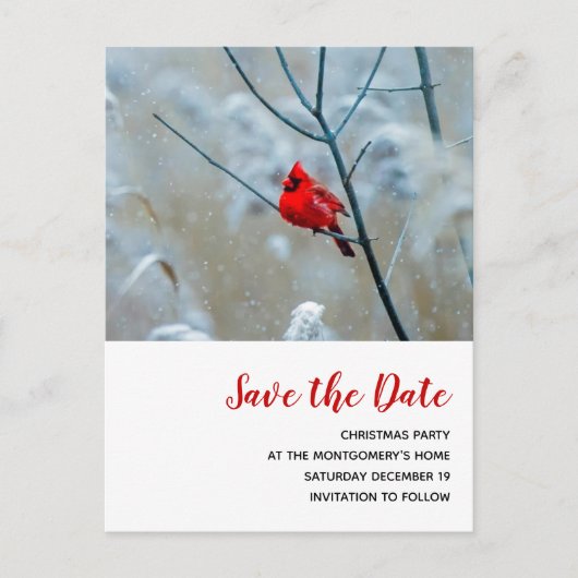 Rode Kardinaal in de Winter Kerstmis Save the Date Uitnodiging Briefkaart (Voorkant)