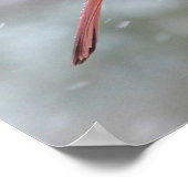 Rode kardinaal in de winter poster (Hoek)