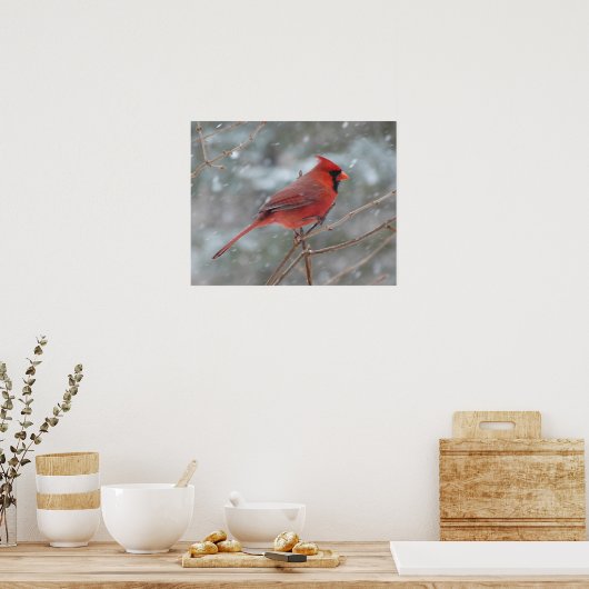 Rode kardinaal in de winter poster (Keuken)