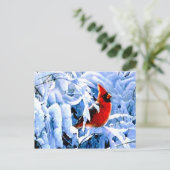 Rode kardinaal in de wintersneeuw briefkaart (Staand voorkant)