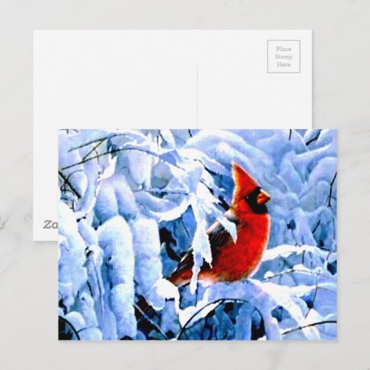Rode kardinaal in de wintersneeuw briefkaart (Voorkant / Achterkant)